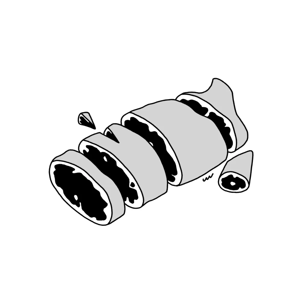 Illustration 20210825